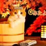 ヒメ日記 2025/11/20 22:48 投稿 優木こころ コウテイ