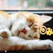 ヒメ日記 2025/11/21 14:15 投稿 優木こころ コウテイ