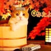 ヒメ日記 2025/11/23 11:02 投稿 優木こころ コウテイ