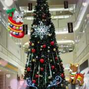 ヒメ日記 2025/11/23 13:45 投稿 優木こころ コウテイ