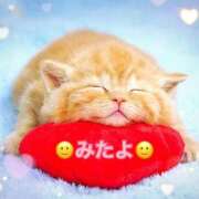 ヒメ日記 2025/11/29 10:10 投稿 優木こころ コウテイ