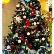 ヒメ日記 2025/11/29 11:00 投稿 優木こころ コウテイ