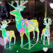 ヒメ日記 2025/12/02 21:51 投稿 優木こころ コウテイ