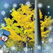 ヒメ日記 2025/12/06 14:00 投稿 優木こころ コウテイ