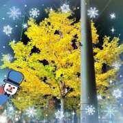 ヒメ日記 2025/12/06 14:15 投稿 優木こころ コウテイ