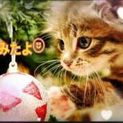 ヒメ日記 2025/12/07 11:05 投稿 優木こころ コウテイ