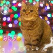 ヒメ日記 2025/12/09 23:45 投稿 優木こころ コウテイ