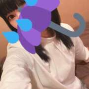 ヒメ日記 2024/12/26 16:37 投稿 しぐれ マーガレット