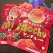 ヒメ日記 2025/04/15 16:13 投稿 しぐれ マーガレット