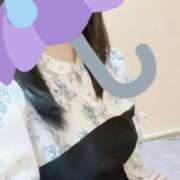 ヒメ日記 2025/06/20 17:42 投稿 しぐれ マーガレット