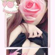 ヒメ日記 2025/09/03 13:00 投稿 ほなみ 人妻の品格(福岡)