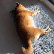 ヒメ日記 2025/01/02 20:38 投稿 まほ フォーシーズン