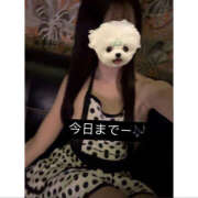 ヒメ日記 2025/03/31 09:16 投稿 みやび 2980円