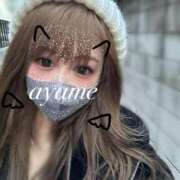 ヒメ日記 2025/02/25 09:49 投稿 菖（あやめ） 男爵