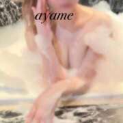 ヒメ日記 2025/03/02 12:07 投稿 菖（あやめ） 男爵