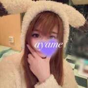 ヒメ日記 2025/04/26 20:00 投稿 菖（あやめ） 男爵