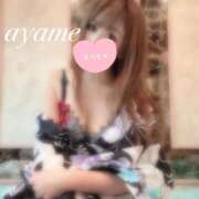 ヒメ日記 2025/07/19 16:06 投稿 菖（あやめ） 男爵