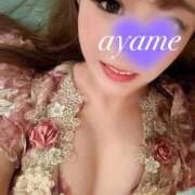 ヒメ日記 2025/12/12 11:56 投稿 菖（あやめ） 男爵