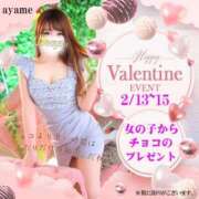 ヒメ日記 2026/02/10 23:56 投稿 菖（あやめ） 男爵