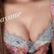 菖（あやめ） 寒くなってきましたね😨 男爵