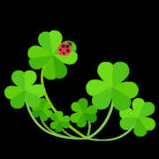 ヒメ日記 2025/04/06 07:31 投稿 みなと 熟女の風俗最終章 宇都宮店