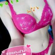 ヒメ日記 2025/06/30 08:53 投稿 みなと 熟女の風俗最終章 宇都宮店