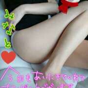 ヒメ日記 2026/02/10 19:41 投稿 みなと 熟女の風俗最終章 宇都宮店