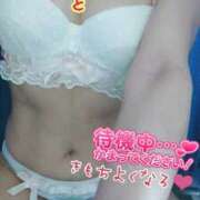 ヒメ日記 2026/04/01 15:11 投稿 みなと 熟女の風俗最終章 宇都宮店