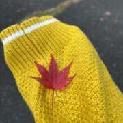 ヒメ日記 2025/11/13 20:02 投稿 ふみ ピーチガール