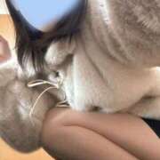 ヒメ日記 2026/01/16 19:15 投稿 ふみ ピーチガール