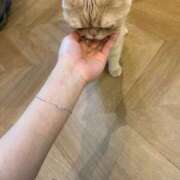 ヒメ日記 2026/03/31 01:12 投稿 ふみ ピーチガール