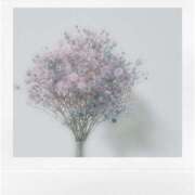 ヒメ日記 2025/11/20 11:32 投稿 城ヶ崎りの アロマピュアン新橋（シンデレラグループ）