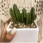 ヒメ日記 2025/02/14 11:42 投稿 あおば 新橋ハートクリニック（シンデレラグループ）