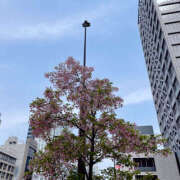 ヒメ日記 2025/03/25 20:48 投稿 桐島　りこ 快楽園 大阪梅田