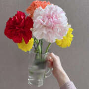 ヒメ日記 2025/04/08 19:13 投稿 桐島　りこ 快楽園 大阪梅田