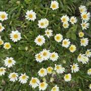 ヒメ日記 2025/05/18 13:29 投稿 桐島　りこ 快楽園 大阪梅田