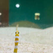 ヒメ日記 2025/05/27 11:39 投稿 桐島　りこ 快楽園 大阪梅田