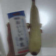 ヒメ日記 2025/07/15 10:49 投稿 桐島　りこ 快楽園 大阪梅田