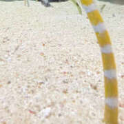 ヒメ日記 2025/10/08 23:09 投稿 桐島　りこ 快楽園 大阪梅田