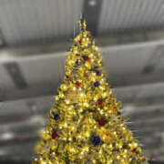 ヒメ日記 2025/11/28 21:09 投稿 桐島　りこ 快楽園 大阪梅田