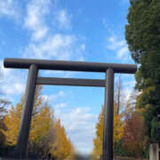 ヒメ日記 2025/11/30 21:49 投稿 桐島　りこ 快楽園 大阪梅田