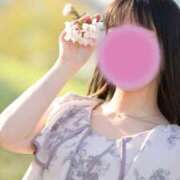 ヒメ日記 2026/03/31 19:01 投稿 桐島　りこ 快楽園 大阪梅田