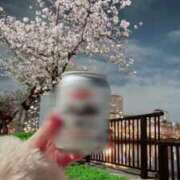 ヒメ日記 2026/04/06 19:04 投稿 桐島　りこ 快楽園 大阪梅田