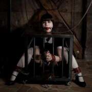 ヒメ日記 2025/12/28 18:24 投稿 かずね フィエスタ