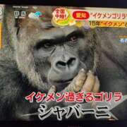 ヒメ日記 2025/06/28 14:34 投稿 ひとみ 熟女の風俗最終章 八王子店