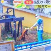 ヒメ日記 2025/08/06 13:05 投稿 ひとみ 熟女の風俗最終章 八王子店