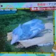 ヒメ日記 2026/07/05 13:43 投稿 ひとみ 熟女の風俗最終章 八王子店