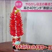 ヒメ日記 2026/07/28 12:34 投稿 ひとみ 熟女の風俗最終章 八王子店