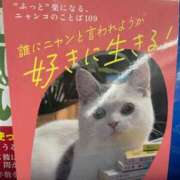 ヒメ日記 2025/03/31 02:49 投稿 あいか AVANCE福岡
