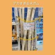 ヒメ日記 2023/10/14 07:24 投稿 このは 熟女の風俗最終章 八王子店